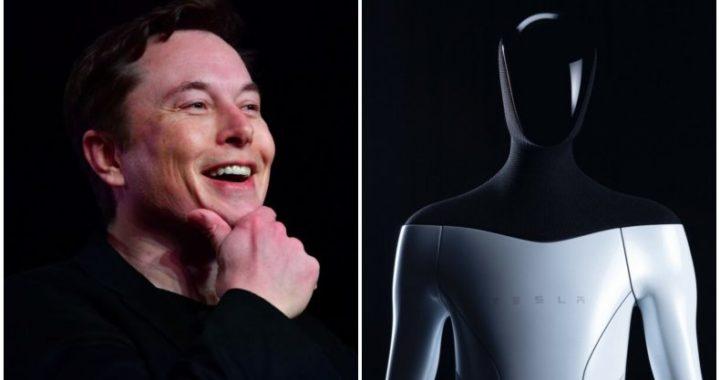« Tesla Bot », le robot « Humain » imaginé par Elon Musk  [VIDÉO]