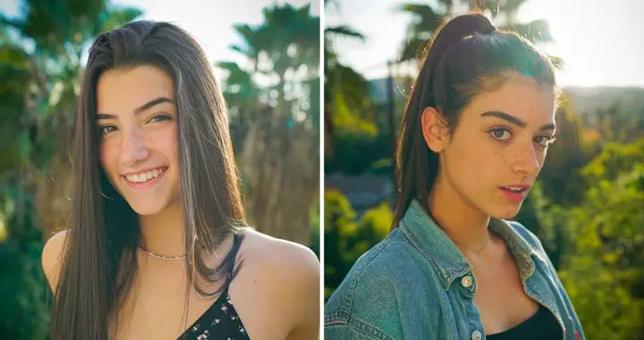 TikTok : les stars du réseau social gagnent plus que les grands PDG aux USA