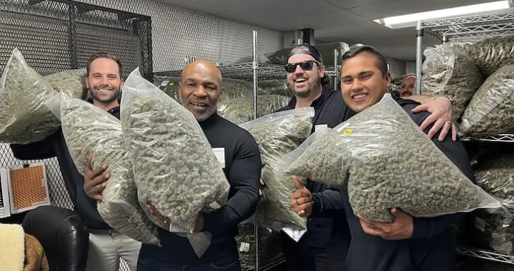 Mike Tyson prend la pose avec une quantité d’herbe impressionnante : « I love weed »