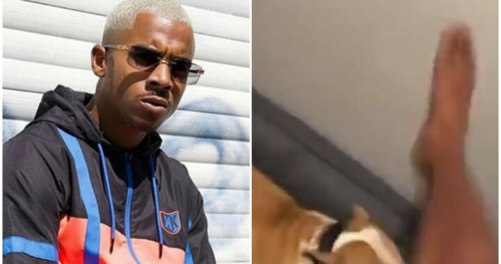 Officiel : Le rappeur Timal a été condamné pour avoir frappé son chien