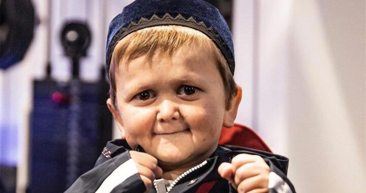 MMA : Hasbulla signe un gros contrat avec l’UFC !