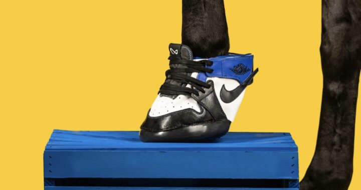 Marcus Floyd propose des sneakers pour chevaux aux enchères !