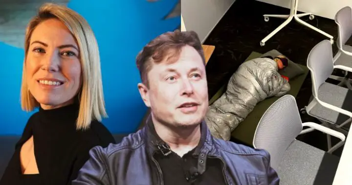 Twitter: Elon Musk licencie la plus loyale et dévouée de ses employés !