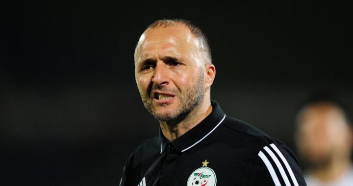 Il y aura peut-être un match amical France-Algérie. Belmadi répond [Vidéo]