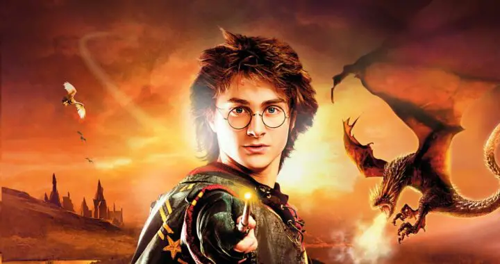 TF1 va rediffuser la saga Harry Potter dans son entiereté  